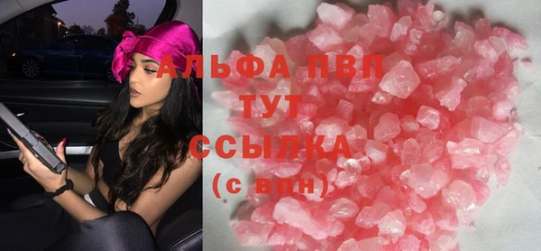 индика Билибино