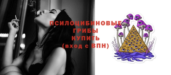 таблы Бикин