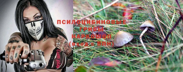 индика Билибино