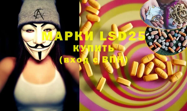 индика Билибино