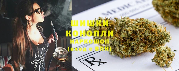 индика Билибино