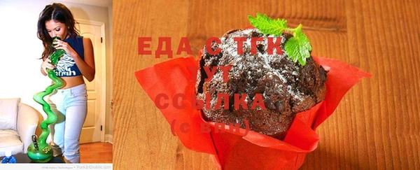 индика Билибино