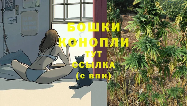 первитин Беслан
