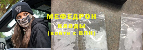 индика Билибино