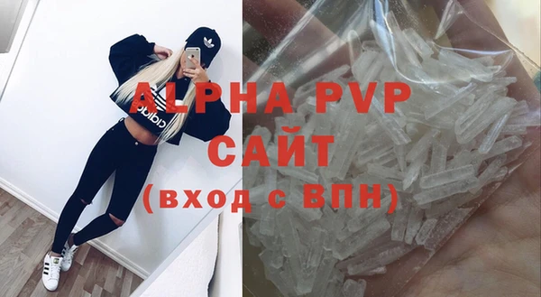 индика Билибино